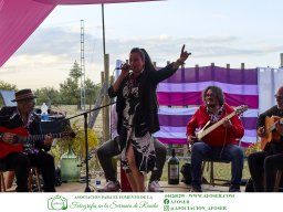 Festival Mar de Tethys 2026 - Bodega Vetas